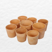 Edible Cup