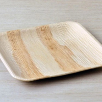 Biodegradable Container