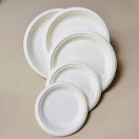 Biodegradable Plates