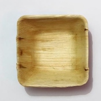 Biodegradable Plates