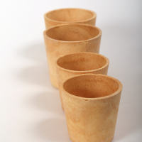 Biodegradable Plates