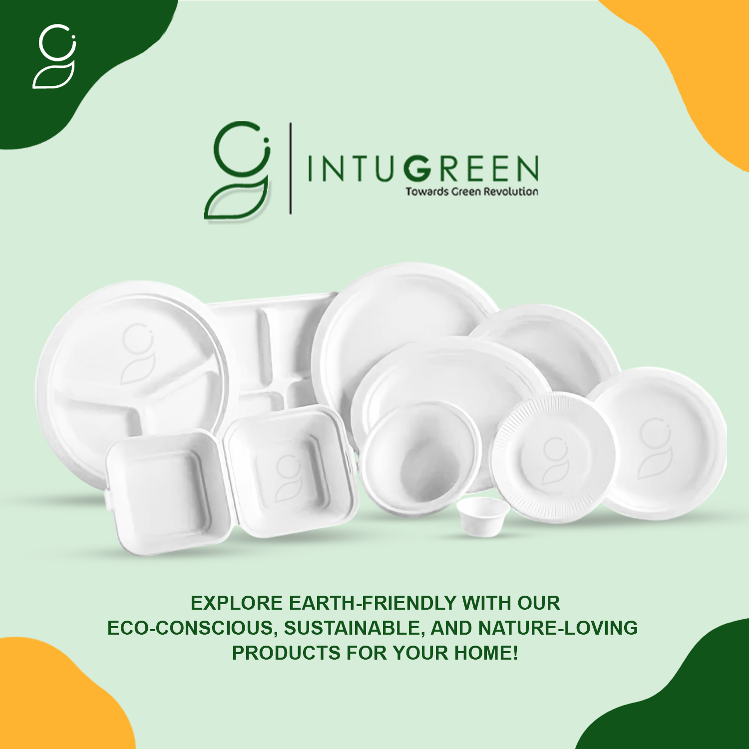 Bagasse vs Plastic Tableware