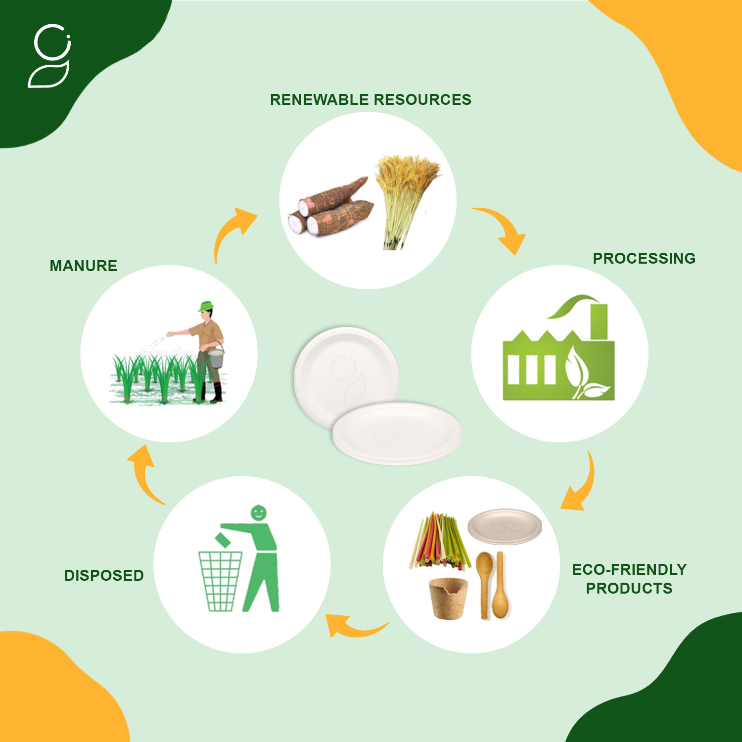 Buy Bagasse Tableware in Bulk