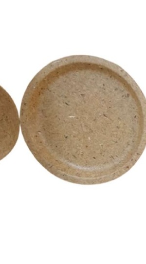 8" Plate